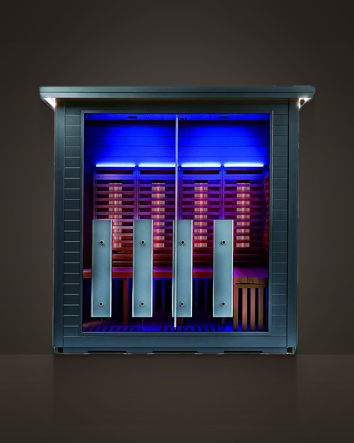 Pavilion 5: outdoor cabin sauna, charcoal cladding outside, pale timber inside. Full glass front with a frameless door.